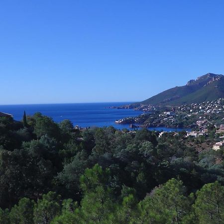 Cote D'Azur - Theoule - Miramar Théoule-sur-Mer Exterior foto